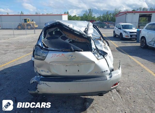 JTJGW31U072002603 2007 Lexus RX photo no. 17