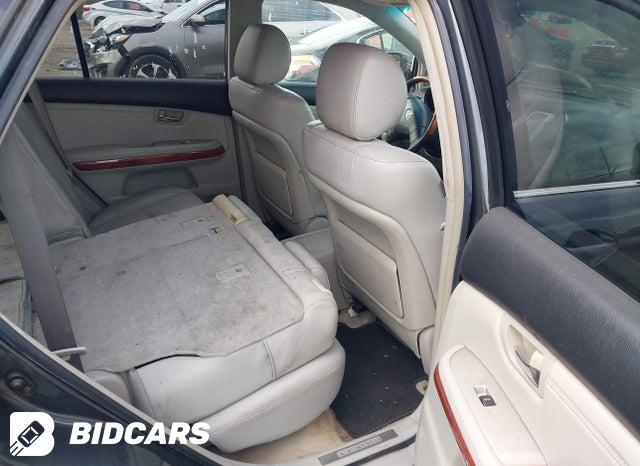 JTJHA31U940050742 2004 Lexus RX photo no. 8