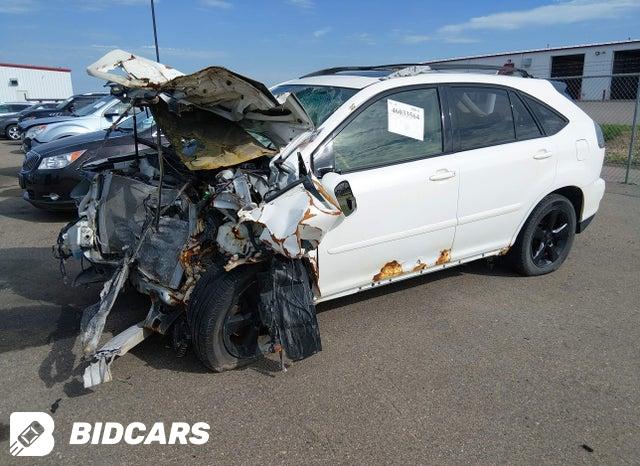 JTJHA31U740044776 2004 Lexus RX photo no. 2