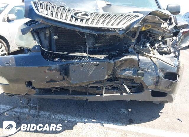 JTJGK31U070008568 2007 Lexus RX photo no. 6