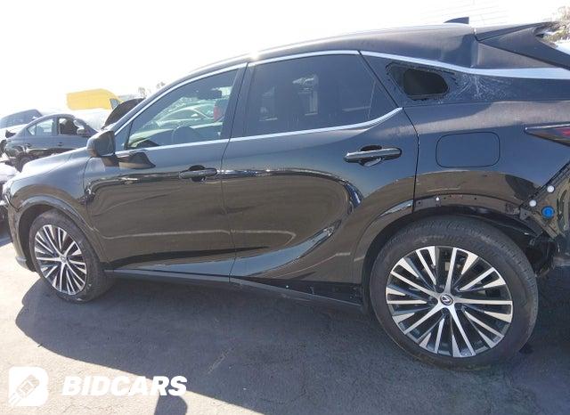 2024 Lexus RX — VIN 2T2BAMBA5RC047784, şəkil 14