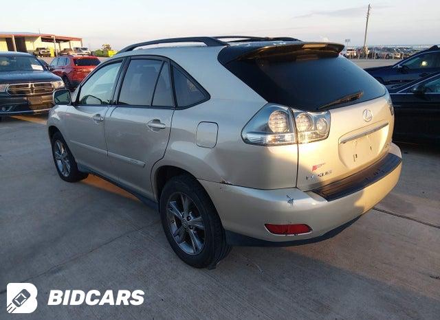 JTJGW31U872003093 2007 Lexus RX photo no. 3