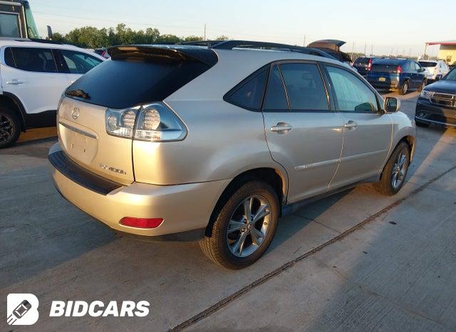JTJGW31U872003093 2007 Lexus RX photo no. 4