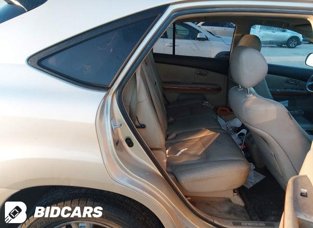 JTJGW31U872003093 2007 Lexus RX photo no. 8