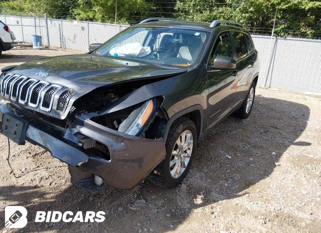 1C4PJMDS9GW227659 2016 Jeep Cherokee photo no. 2