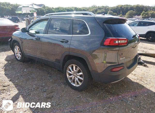 1C4PJMDS9GW227659 2016 Jeep Cherokee photo no. 3