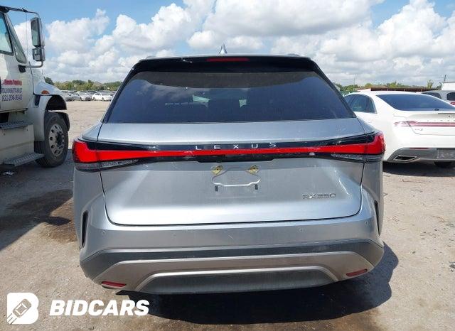 2023 Lexus RX — VIN 2T2BAMBA0PC009215, şəkil 16