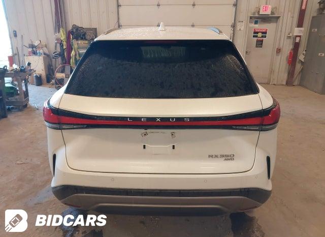 2024 Lexus RX — VIN 2T2BAMCA8RC039189, şəkil 16