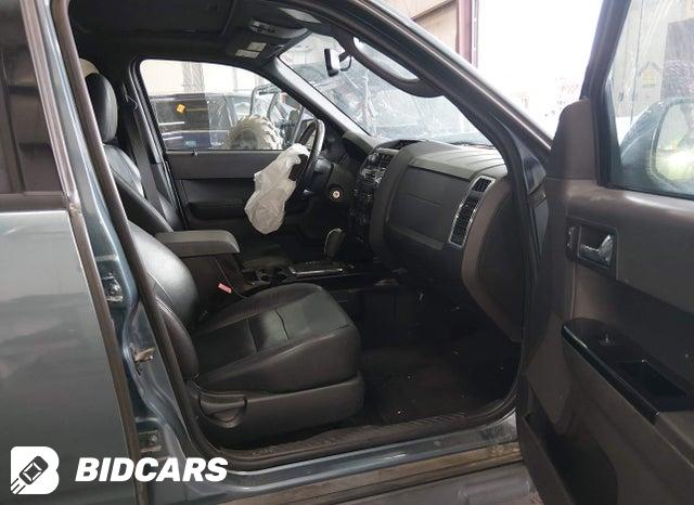 1FMCU0EG7BKB26821 2011 Ford Escape photo no. 5