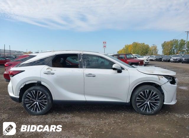 2024 Lexus RX — VIN 2T2BAMBA0RC028334, şəkil 14