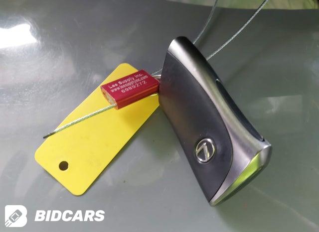 2024 Lexus RX — VIN 2T2BAMBA5RC041368, şəkil 11