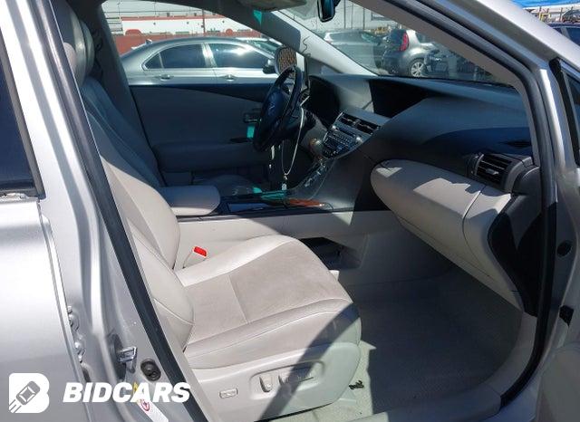 Photo 5