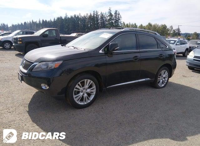JTJBC1BA7B2416692 2011 Lexus RX photo no. 2