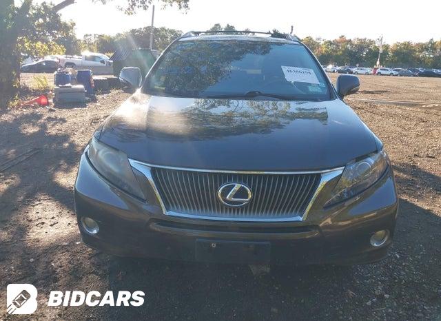 JTJBC1BA4A2400920 2010 Lexus RX photo no. 6