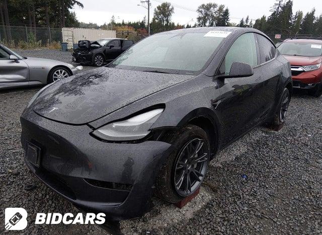 2024 Tesla MODEL Y — VIN 7SAYGDEE2RF166273, şəkil 2