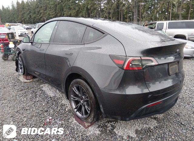 2024 Tesla MODEL Y — VIN 7SAYGDEE2RF166273, şəkil 3