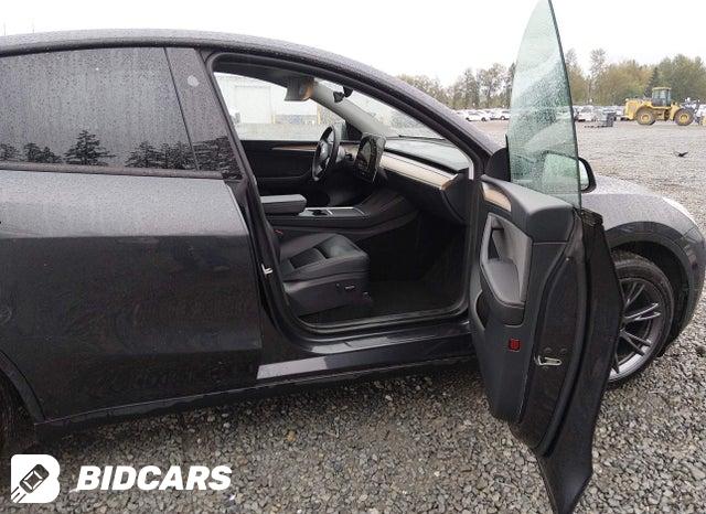 2024 Tesla MODEL Y — VIN 7SAYGDEE2RF166273, şəkil 5