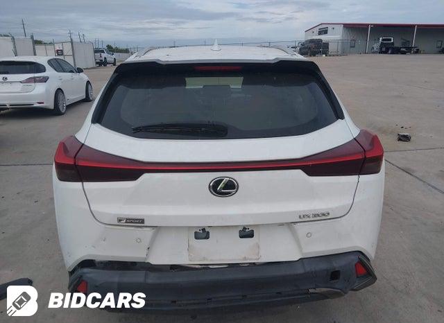 2019 Lexus UX — VIN JTHY3JBH5K2000438, şəkil 16