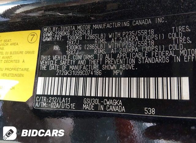 2T2GK31U99C074186 2009 Lexus RX photo no. 9