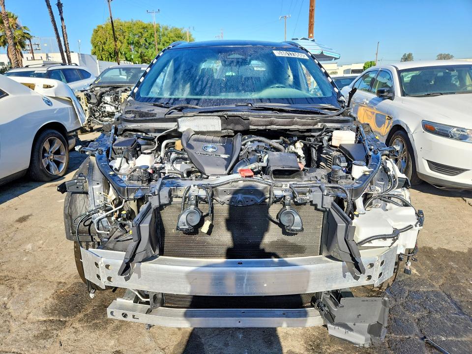 2T2BAMBA5RC032041 2024 Lexus RX photo no. 5