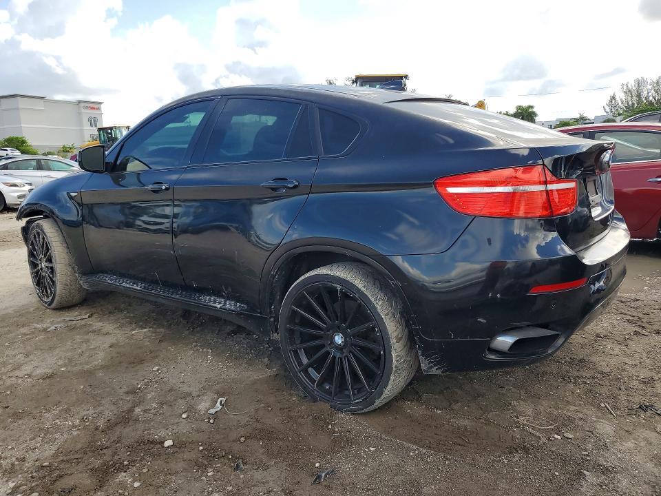 5UXFG8C50BLZ95231 2011 BMW X6 photo no. 2