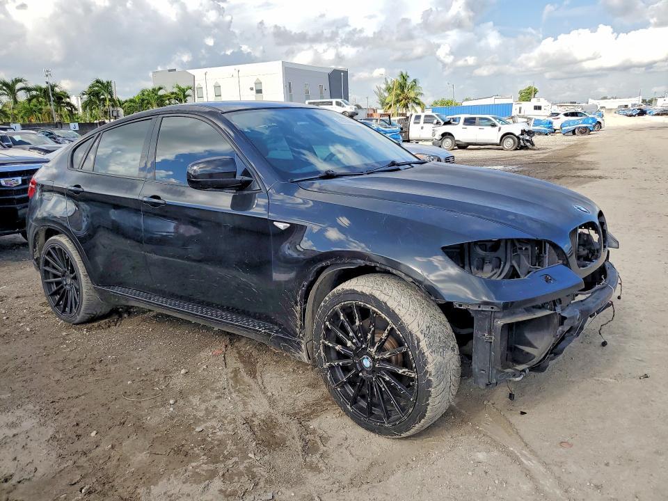 5UXFG8C50BLZ95231 2011 BMW X6 photo no. 4