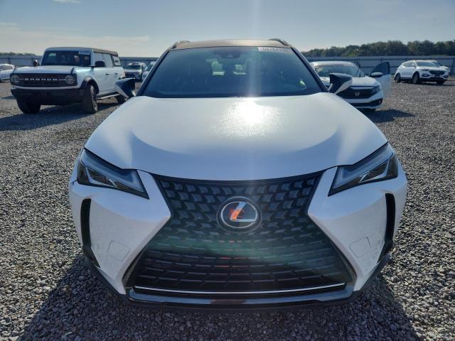 2020 Lexus UX — VIN JTHP3JBH3L2023486, şəkil 5