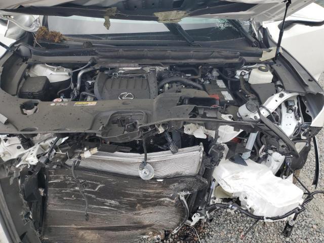 2024 Lexus RX — VIN 2T2BAMBA6RC026667, şəkil 11