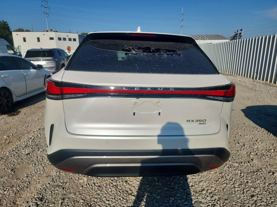 2023 Lexus RX — VIN 2T2BAMCA0PC022383, şəkil 6