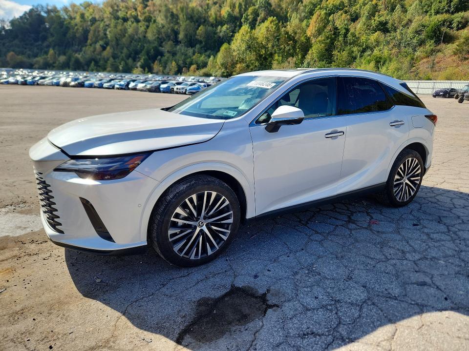 2023 Lexus RX — VIN 2T2BAMCA0PC024411, şəkil 1