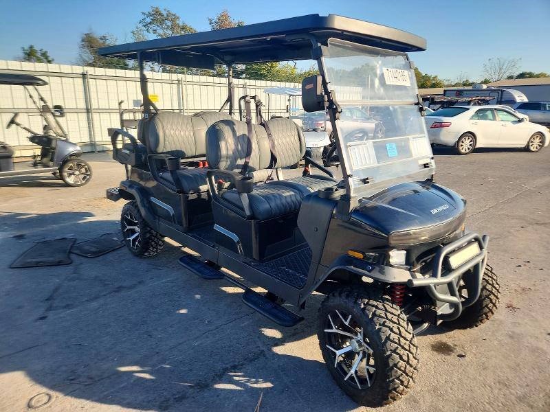2025 Denago Rover